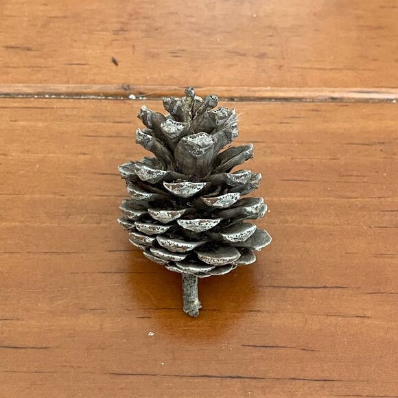 Unbranded Other - Small Pinecone
